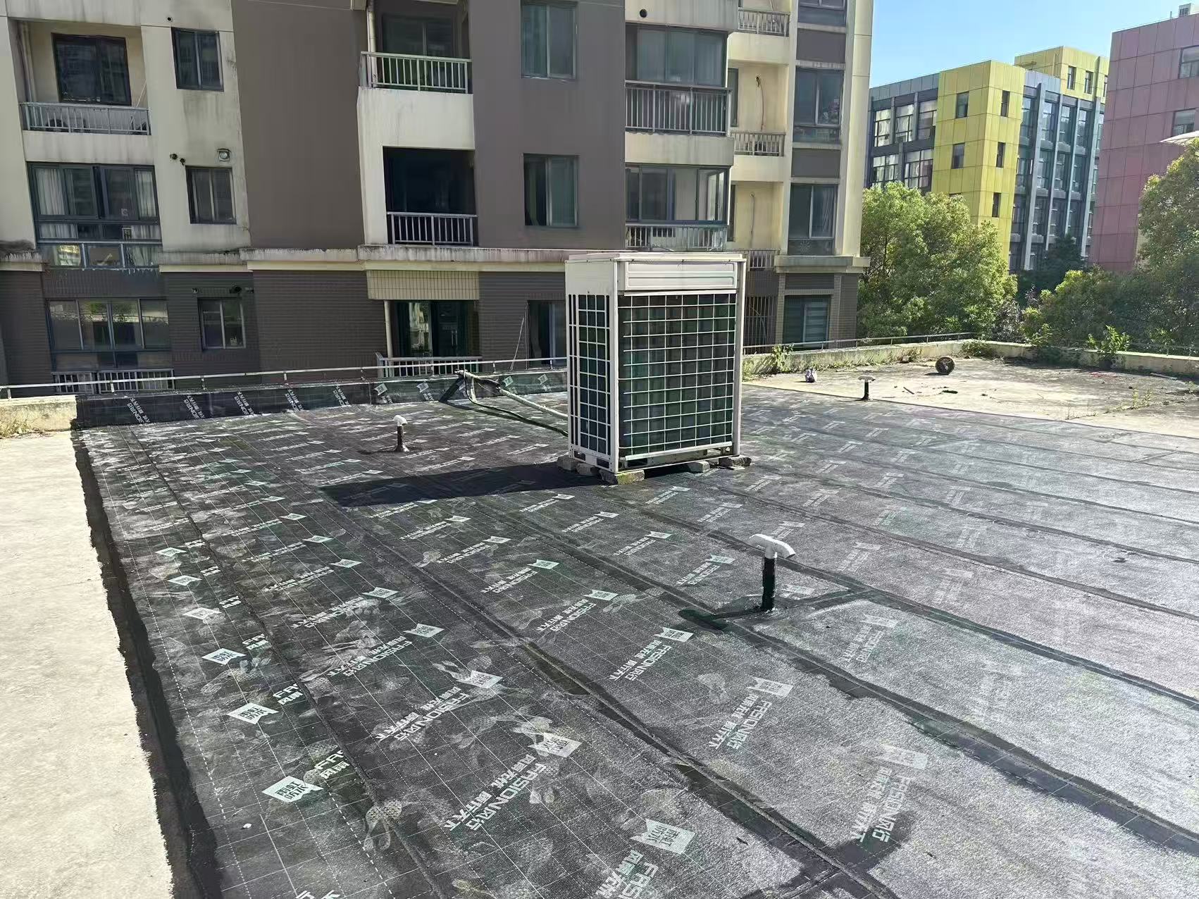dm18.jpg